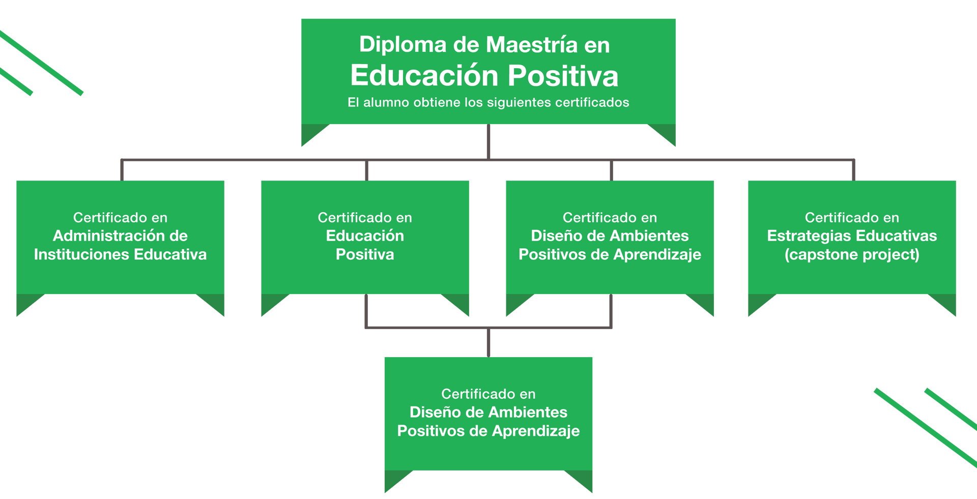 diagrama-educación-positiva-02